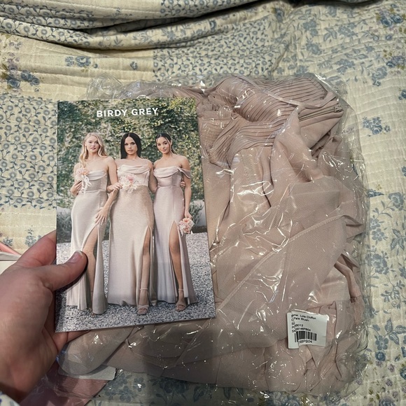 LOLA DRESS CHIFFON PALE BLUSH - Picture 5 of 8